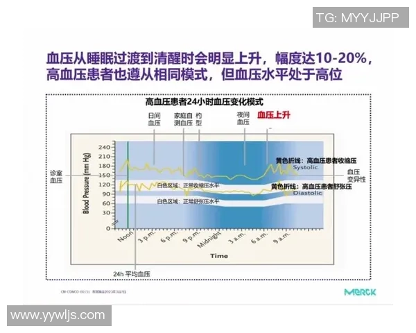 北京羽毛球队节奏表现分析与提升策略探讨